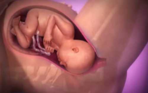 СОРОК ПЕРВАЯ НЕДЕЛЯ БЕРЕМЕННОСТИ КАК МЕНЯЕТСЯ ЖИЗНЬ МАМЫГотовясь к родам, малыш опускается в область материнского таза, вследствие чего у беременной женщины облегчается дыхание и проявления изжоги