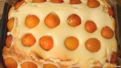 Рецепты пирога с творогом и абрикосами, секреты