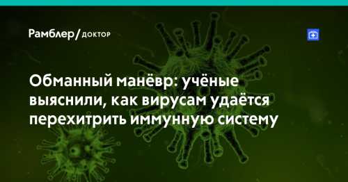 Пораженная вирусом клетка погибает изза проникновения в нее вируса, но при этом усиливает защиту соседних клеток от вирусов