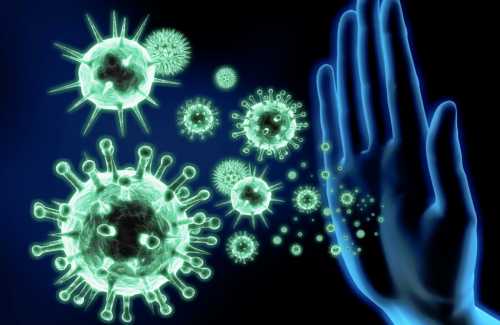 Врачи поняли как вирусы обманывают иммунные