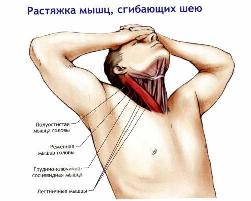 Болят мышцы шеи: симптомы, причины, это