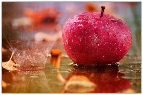 Такие разные радости осени: дождь, печь, яблоки