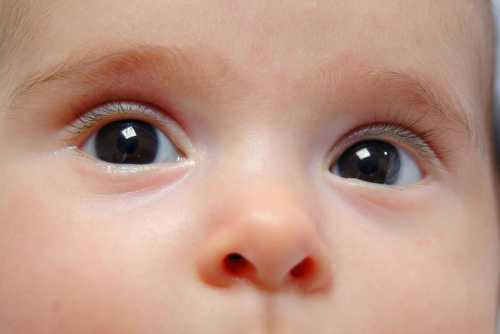 Но если у одного из ваших дедушки или бабушки голубые глаза, то больше шансов, что новорожденный родится с этим цветом