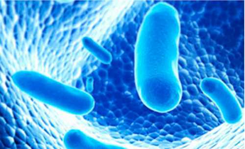 Рекомбинантные средства, состоящие из микроорганизмов, синтезиро ванных с помощью генных модификаций